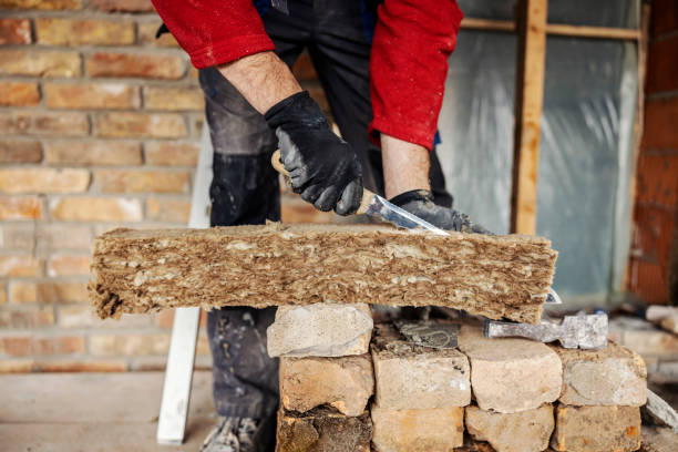 Best Insulation Contractors for Homes  in Lodi, WI